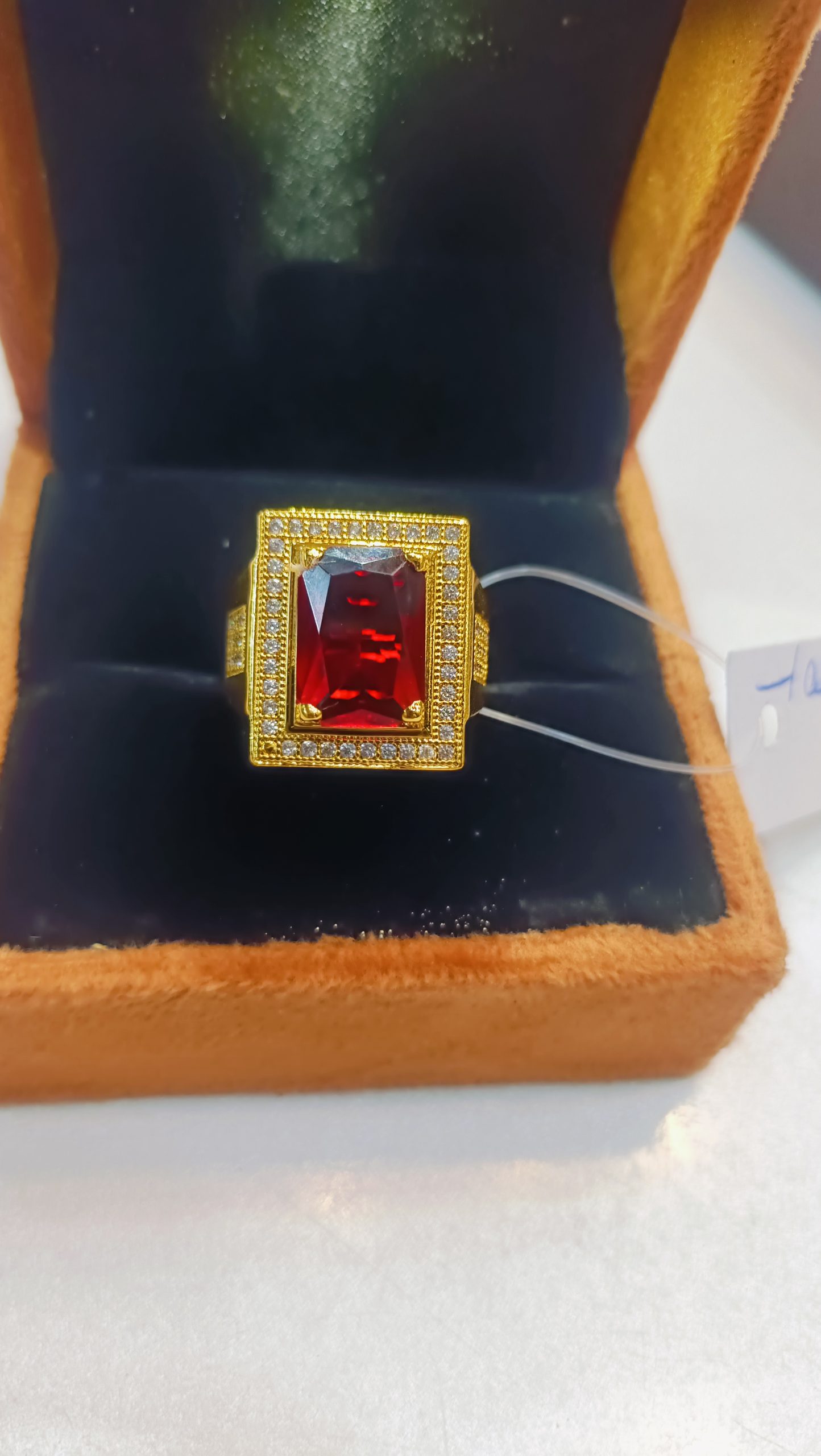 IMG20240909184930